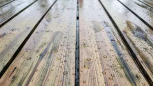 papa na dach deskowany